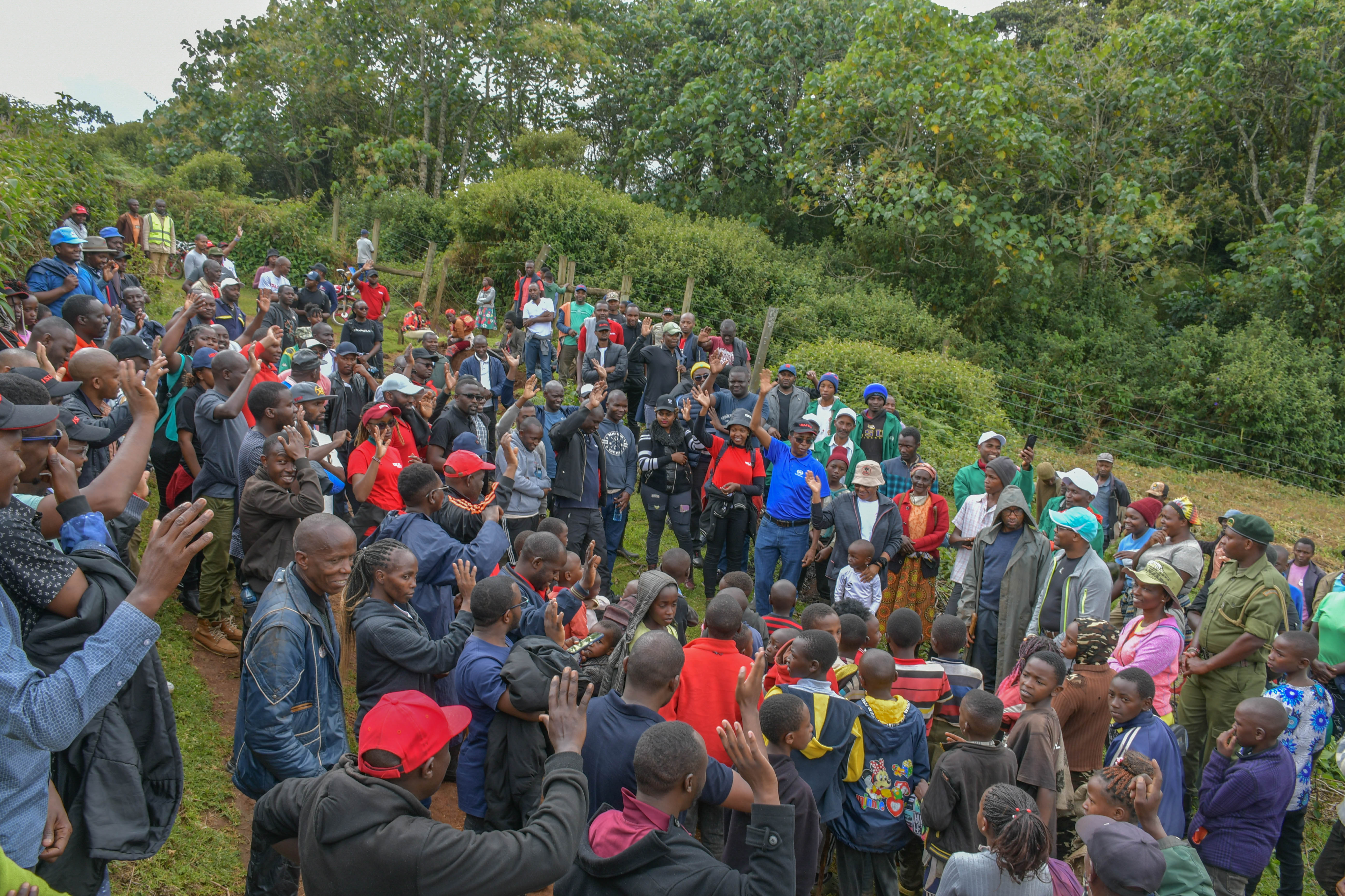 Tree Planting Activity